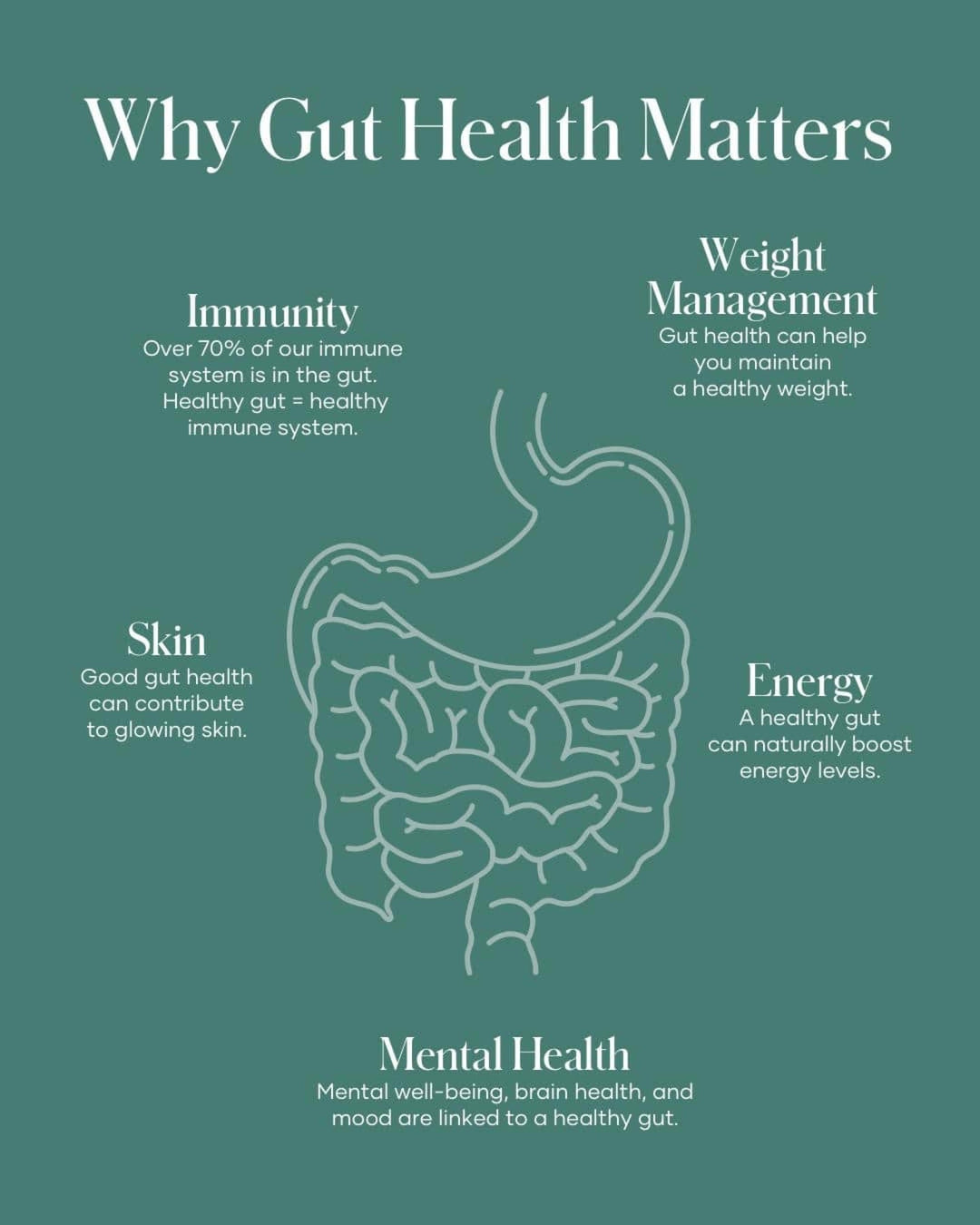 Gut Health Is Everything: Why Your Gut Runs Your Energy, Mood & Comfort (and what to do about it)