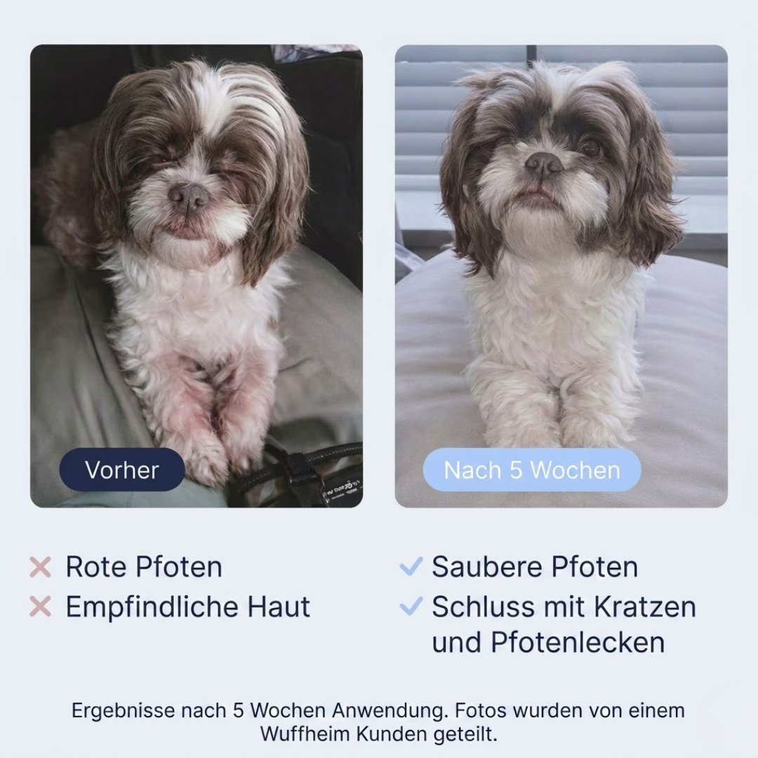 Allergie & Juckreiz Hunde-Snacks