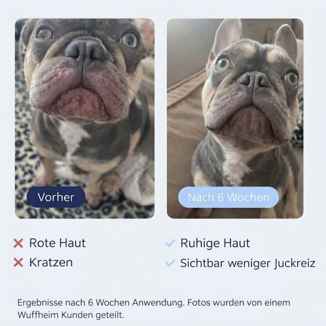 Allergie & Juckreiz Hunde-Snacks